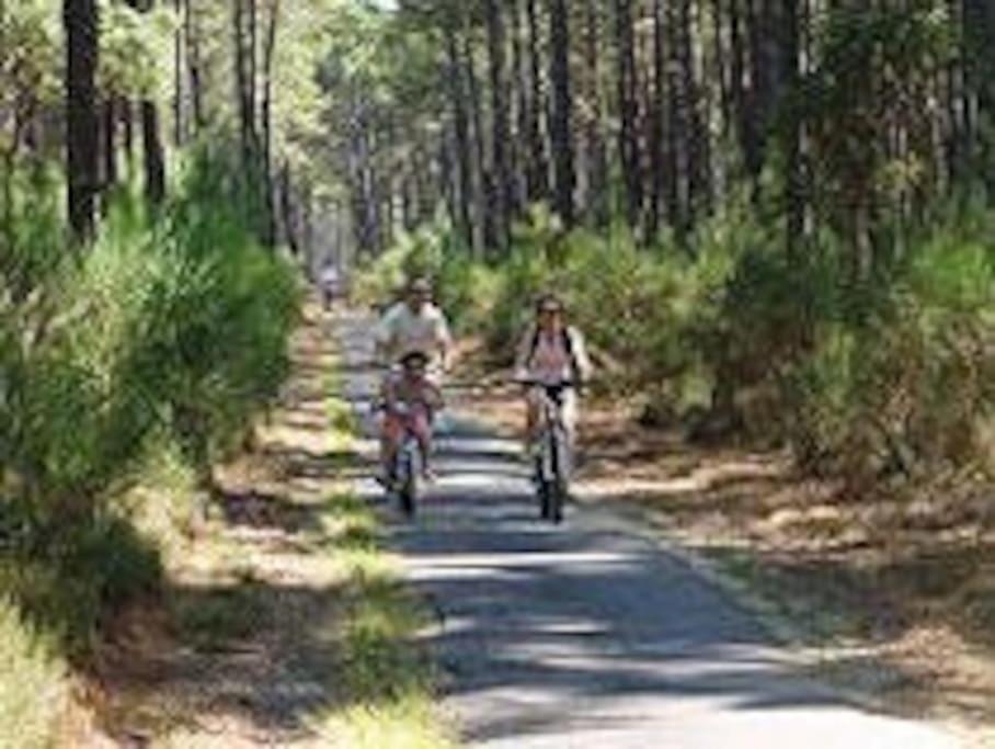 Maison De Vacances 4/5 Personnes A Leon, Landes Kültér fotó